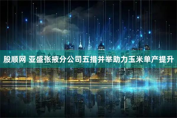 股顺网 亚盛张掖分公司五措并举助力玉米单产提升