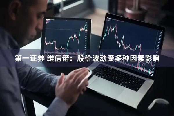 第一证券 维信诺：股价波动受多种因素影响