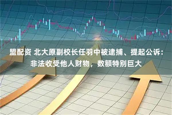 盟配资 北大原副校长任羽中被逮捕、提起公诉：非法收受他人财物，数额特别巨大