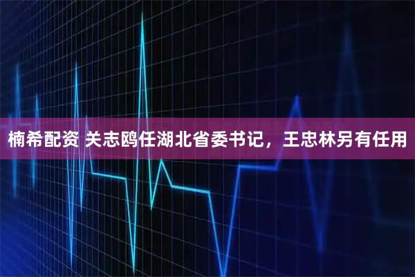 楠希配资 关志鸥任湖北省委书记，王忠林另有任用