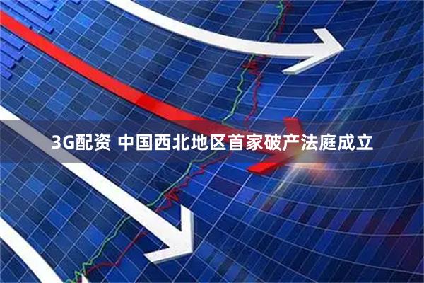 3G配资 中国西北地区首家破产法庭成立
