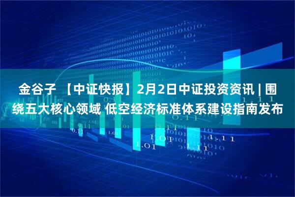 金谷子 【中证快报】2月2日中证投资资讯 | 围绕五大核心领域 低空经济标准体系建设指南发布